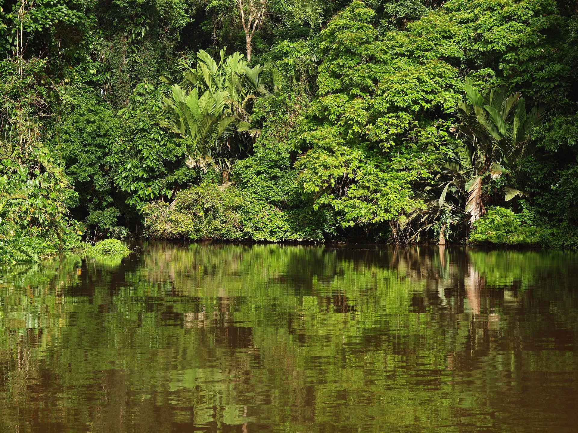 Costa Rica Natural con Corcovado