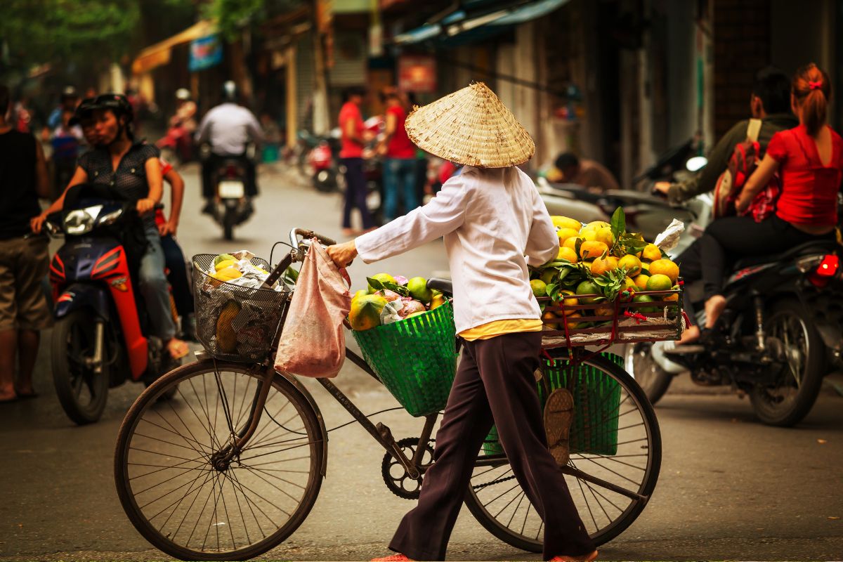 Norte de Vietnam con Sapa & Hoi An