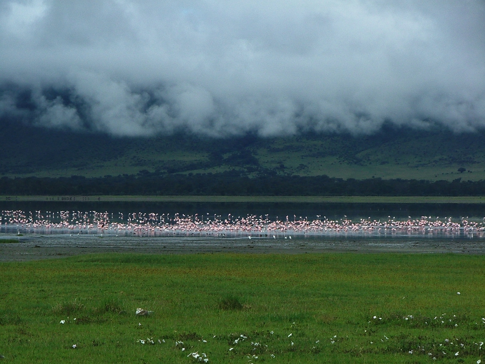 Safari Kemkem en Kenia y Tanzania