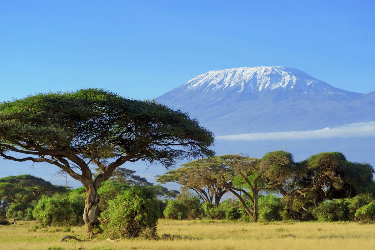 Ascensión al Kilimanjaro Ruta Machame