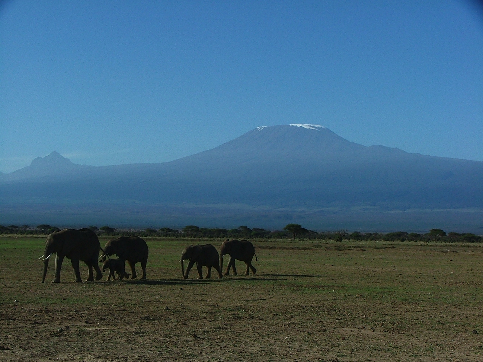 Safari Kemkem en Kenia y Tanzania