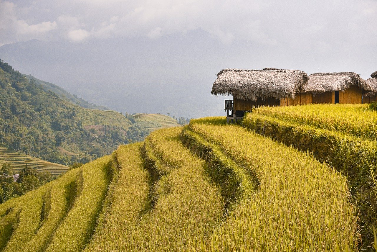 Vietnam al Completo con Sapa