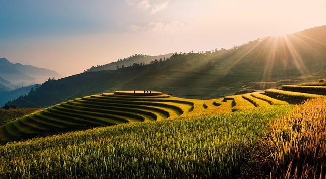 Norte de Vietnam con Sapa & Hoi An