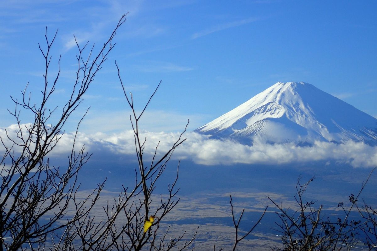 Japón Expreso