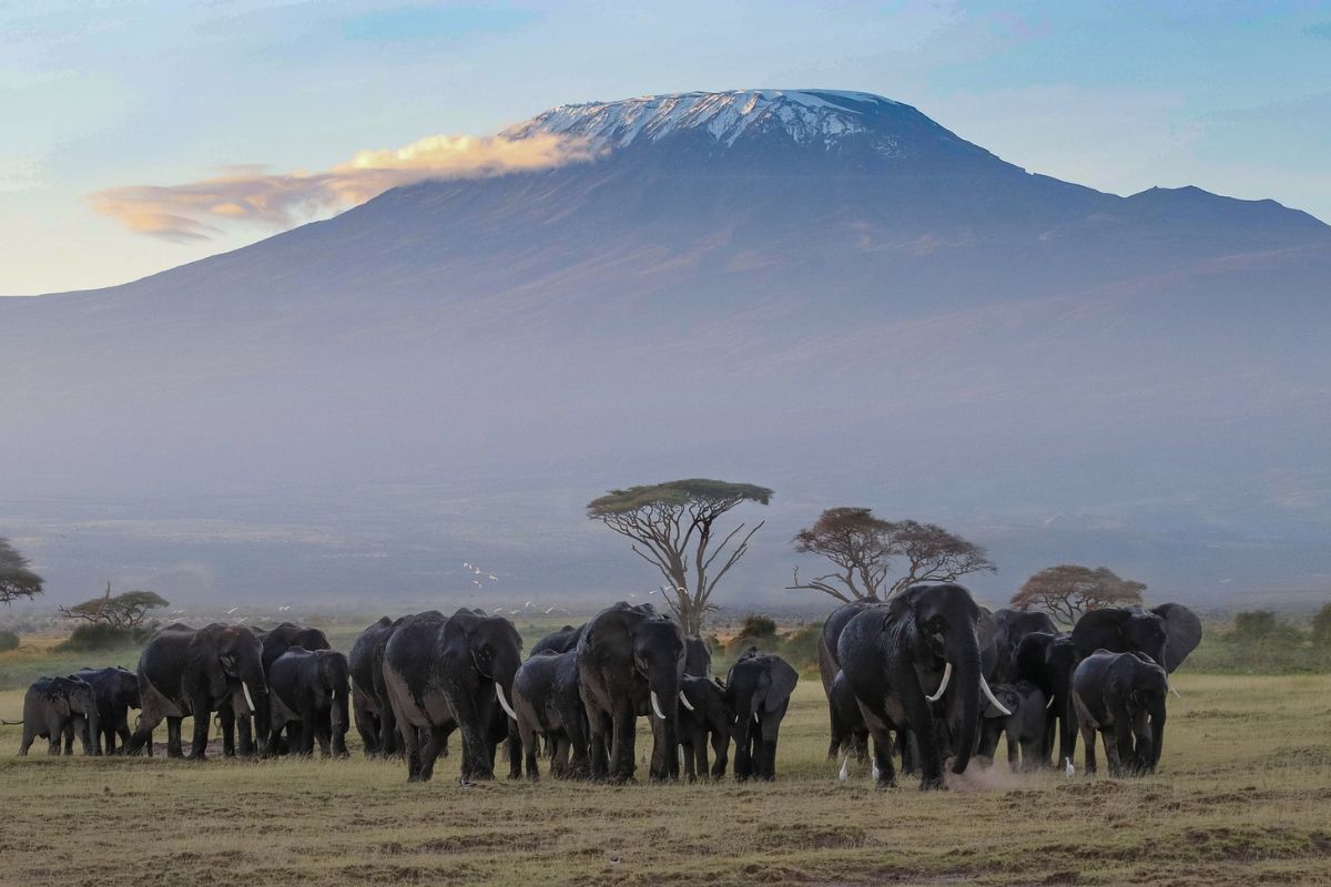 Safari Risala en Kenia