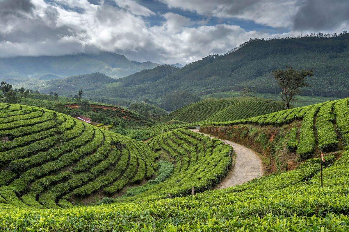 Sur de India