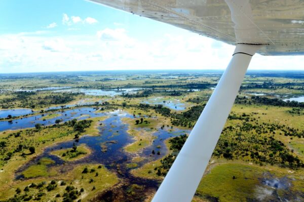 Salares y Okavango