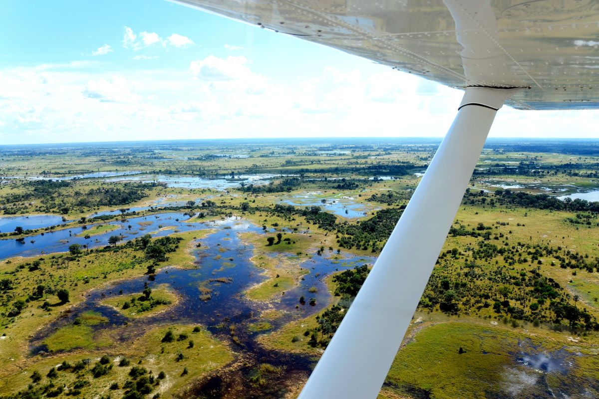 Contrastes de Botswana