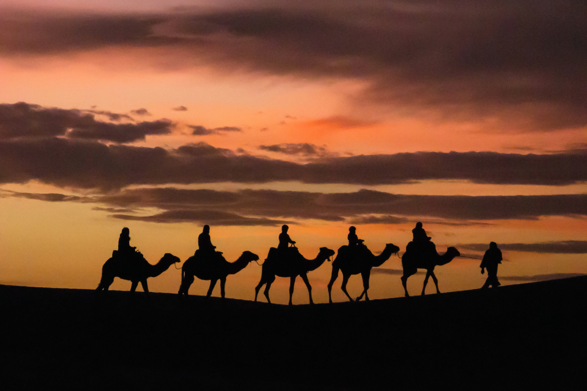 Marruecos Salvaje