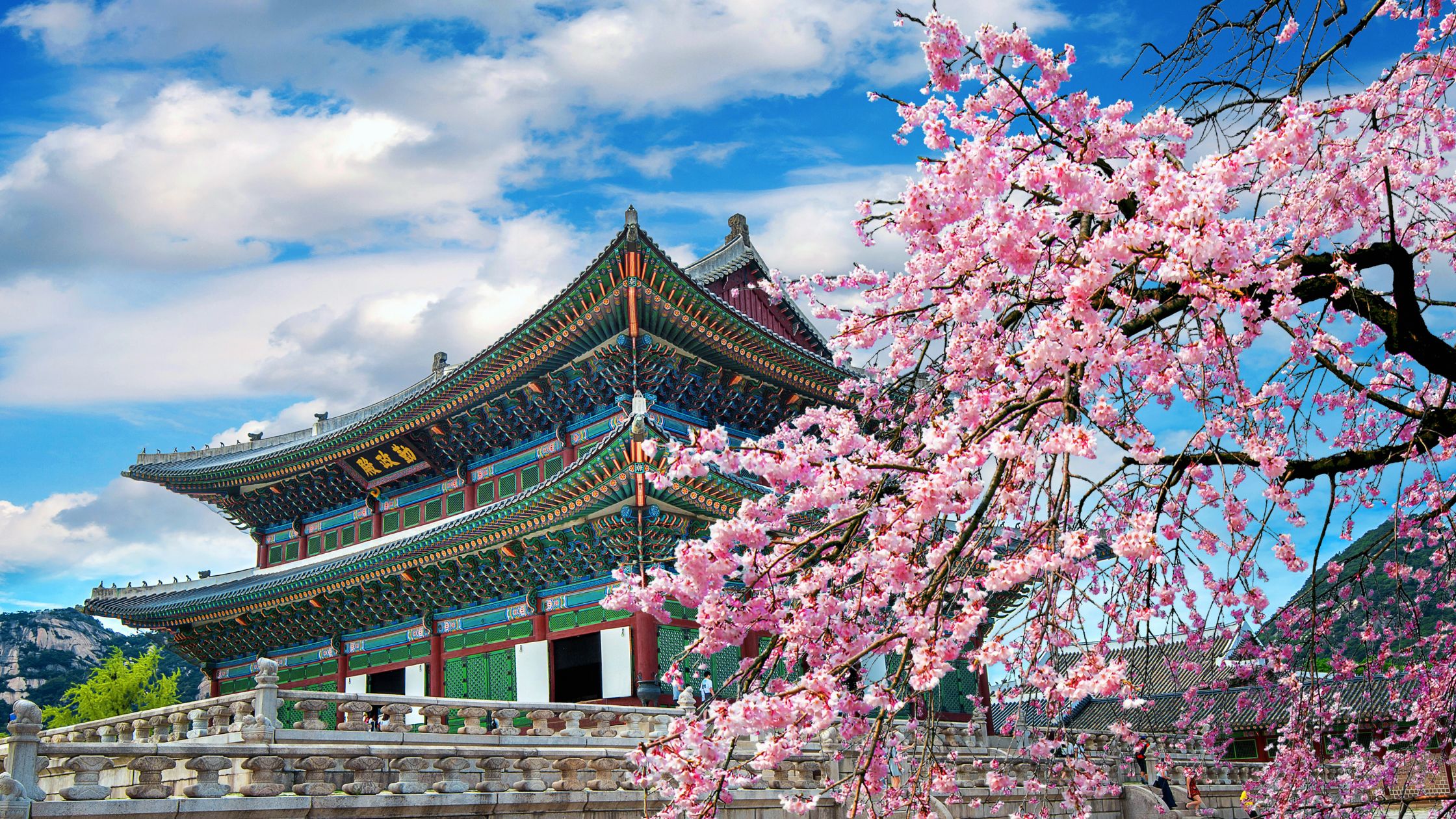 Corea del sur