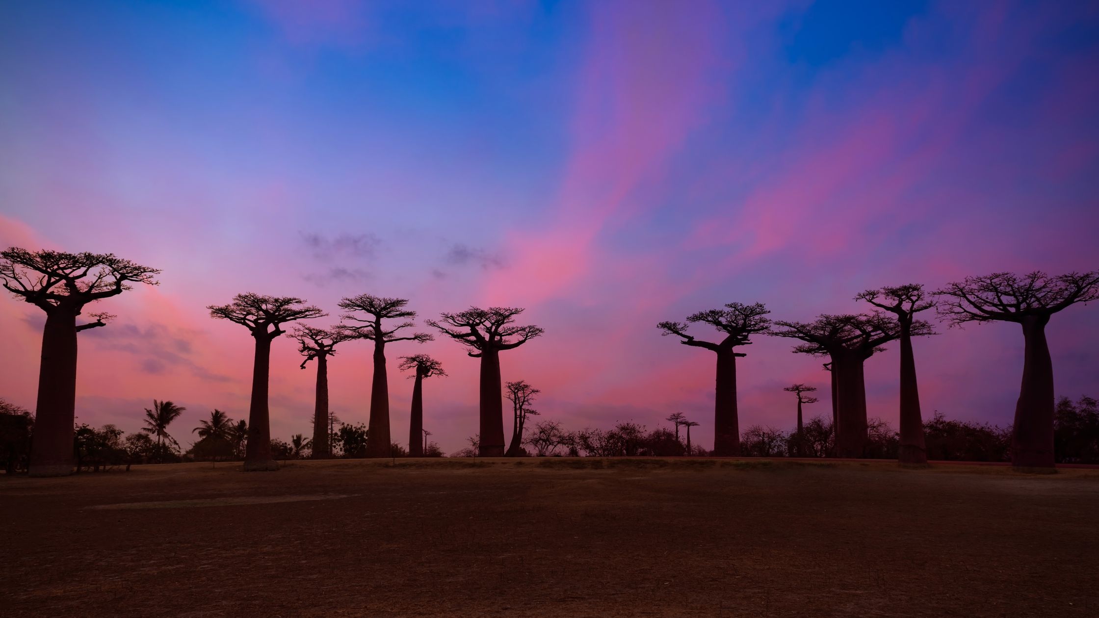 Madagascar