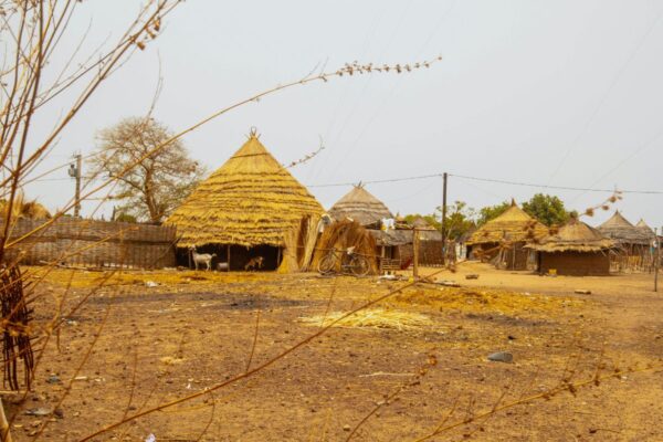 Brown Field Kolda Senegal al Completo