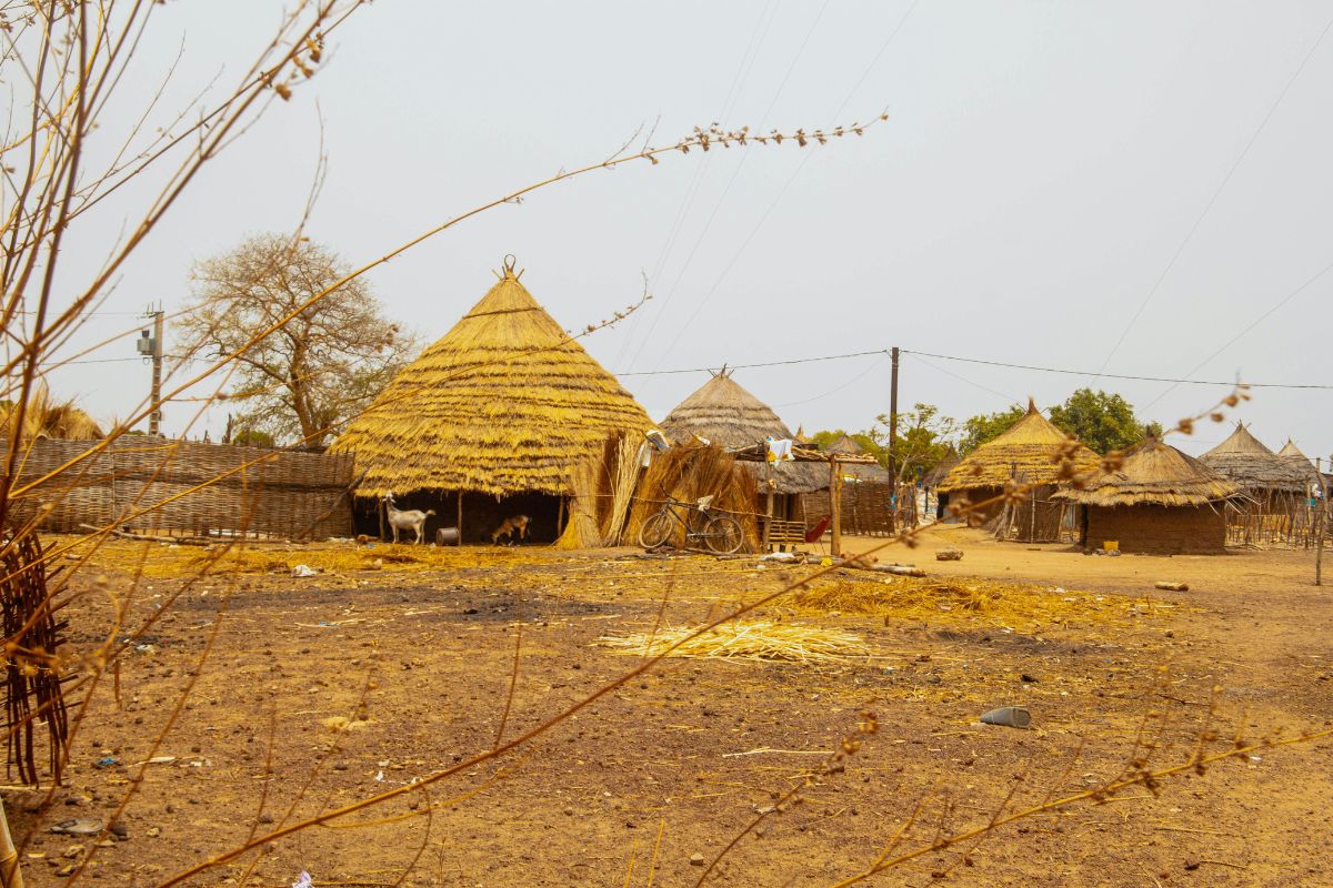 Senegal al Completo