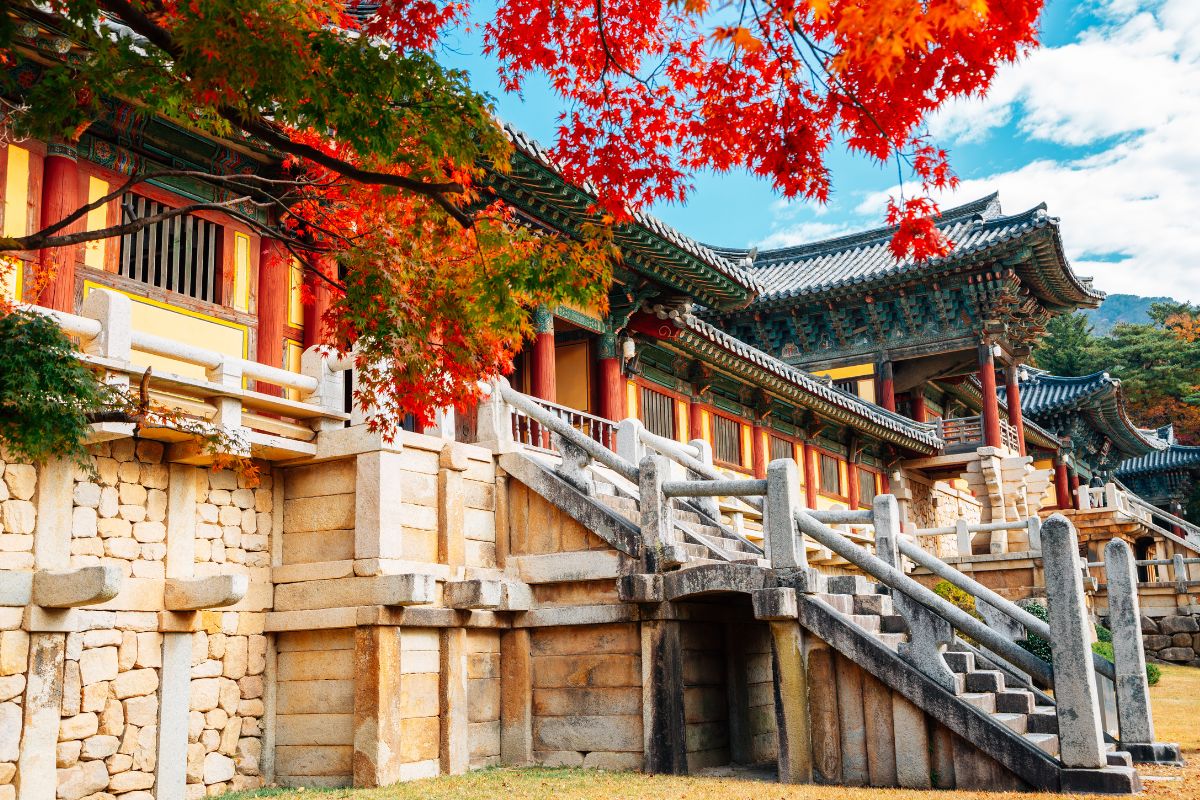 Lo mas destacado de Corea