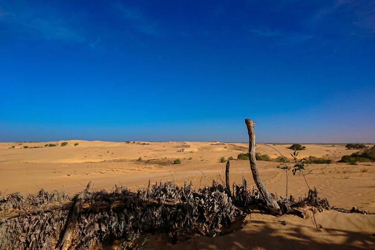 Maravillas de Senegal con Saly