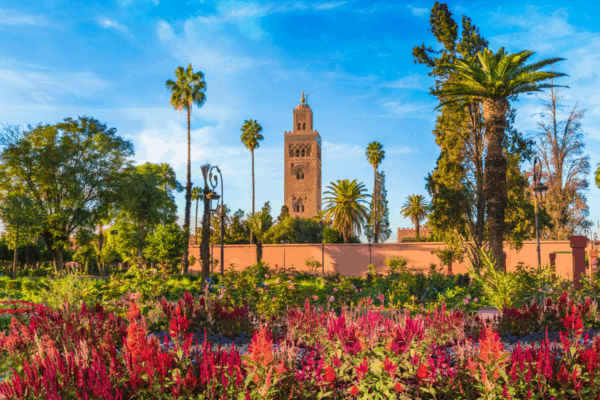 Marrakech 0