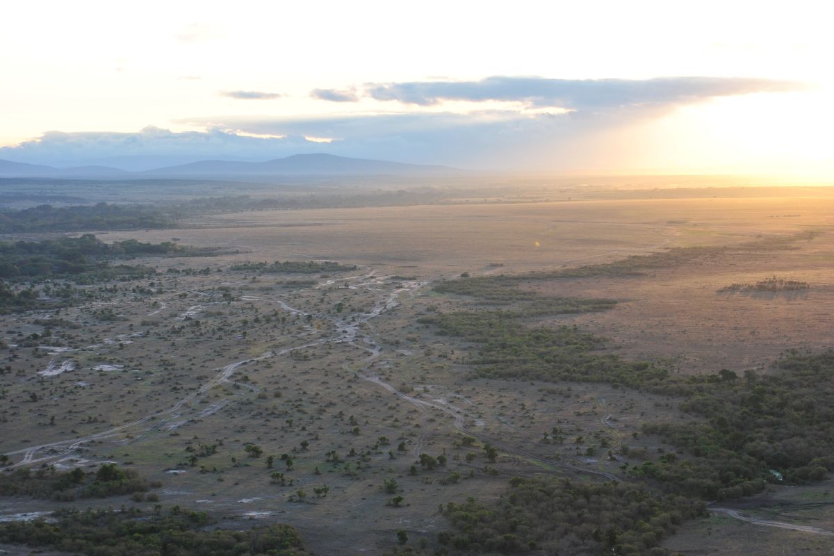 Safari Nyumbu en Kenia