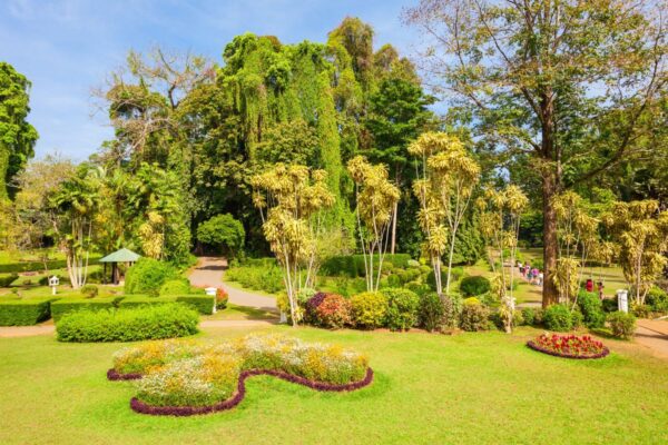 Peradeniya Royal Botanic Gardens