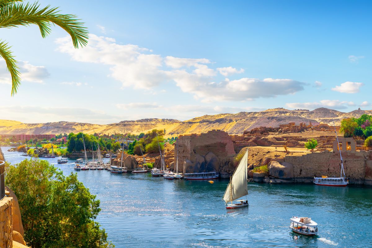 Egipto 11D