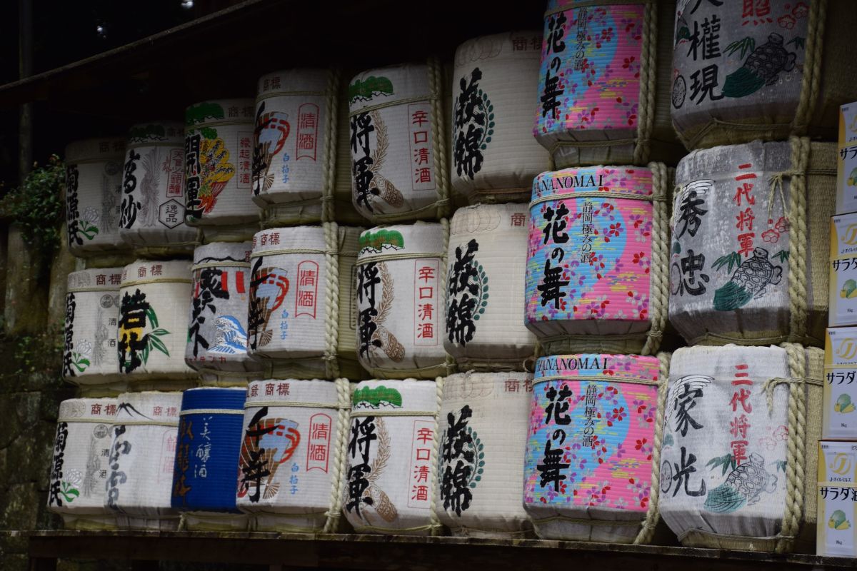 Japon con JRP-Ruta 12D