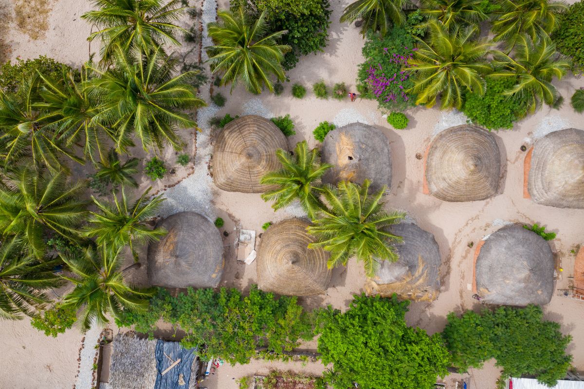 Maravillas de Senegal con Palmarin