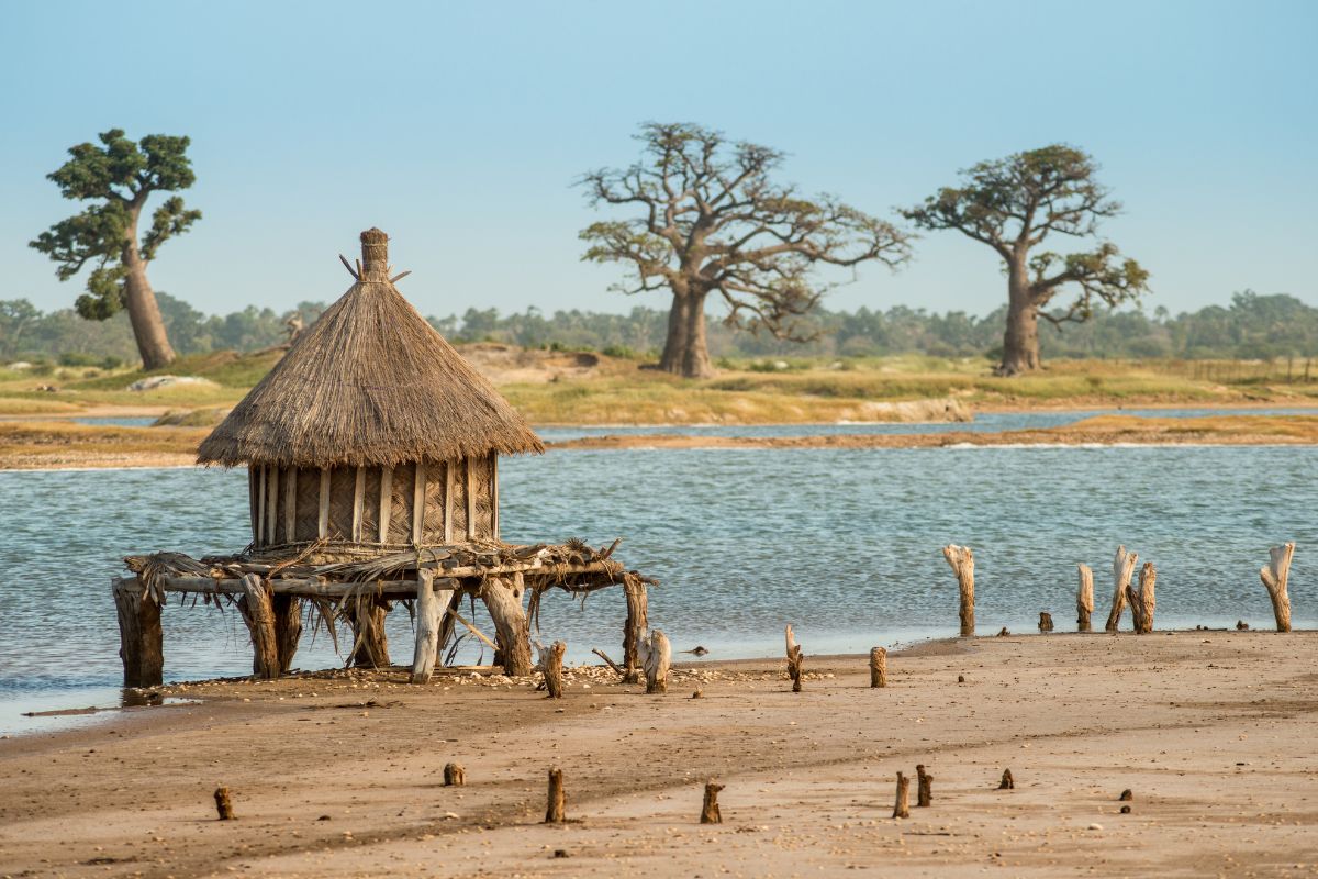 Senegal Auténtica