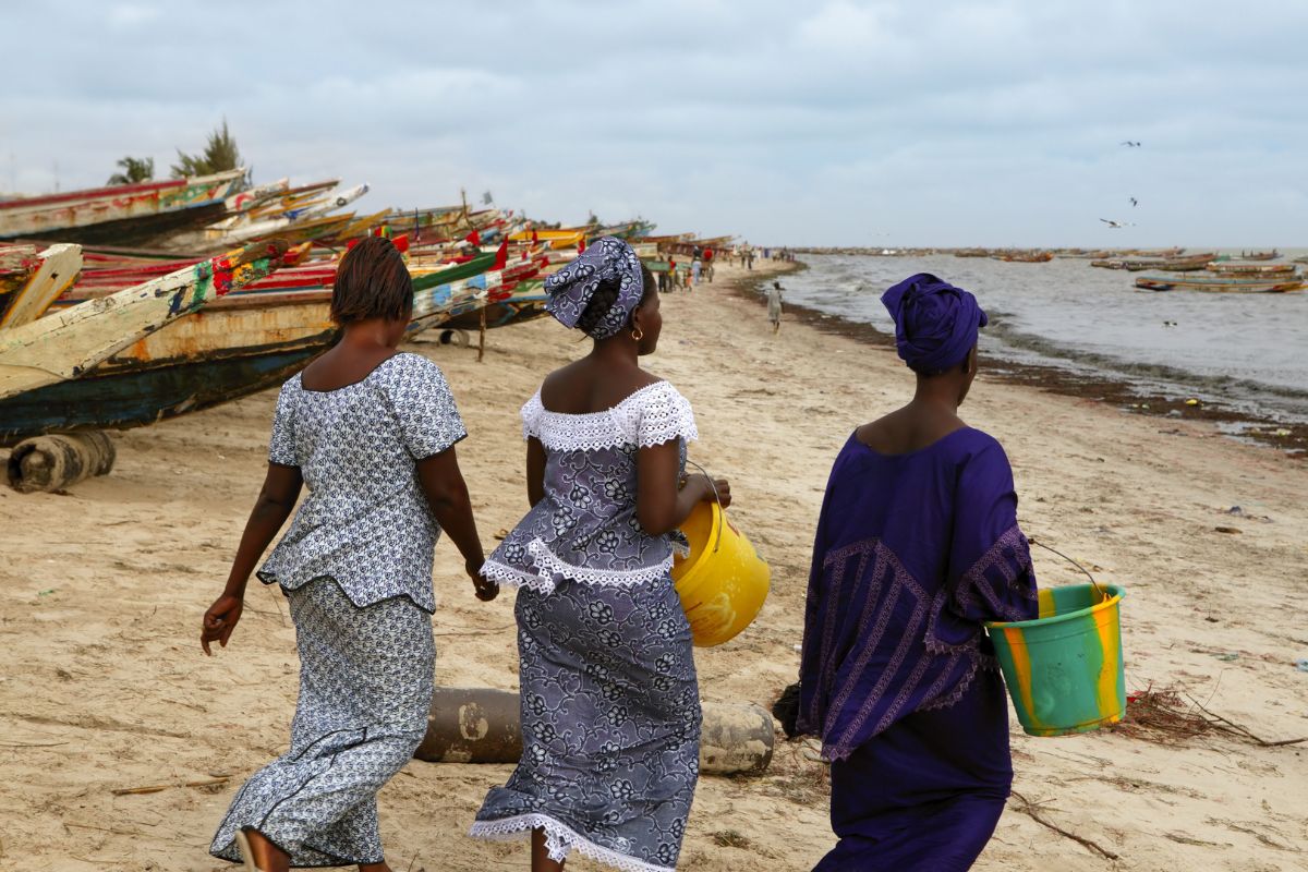 Senegal al Completo