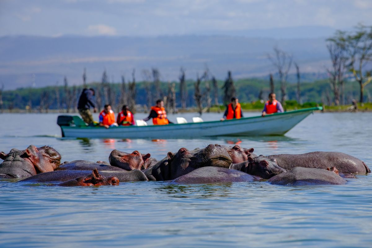 Safari Tembea en Kenia
