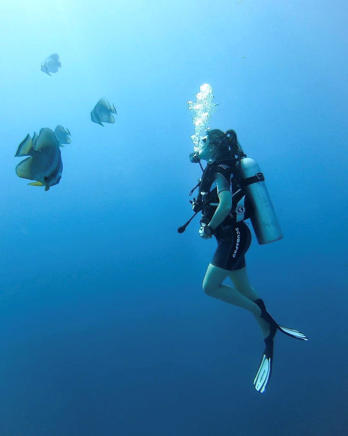 Maldivas submarinismo