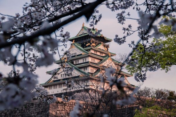 castillo Osaka castillo Osaka