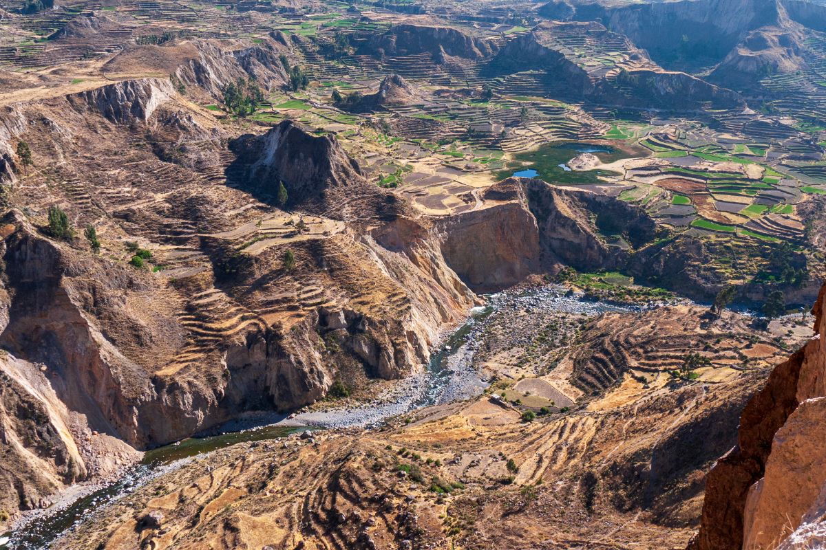 Cañón del Colca