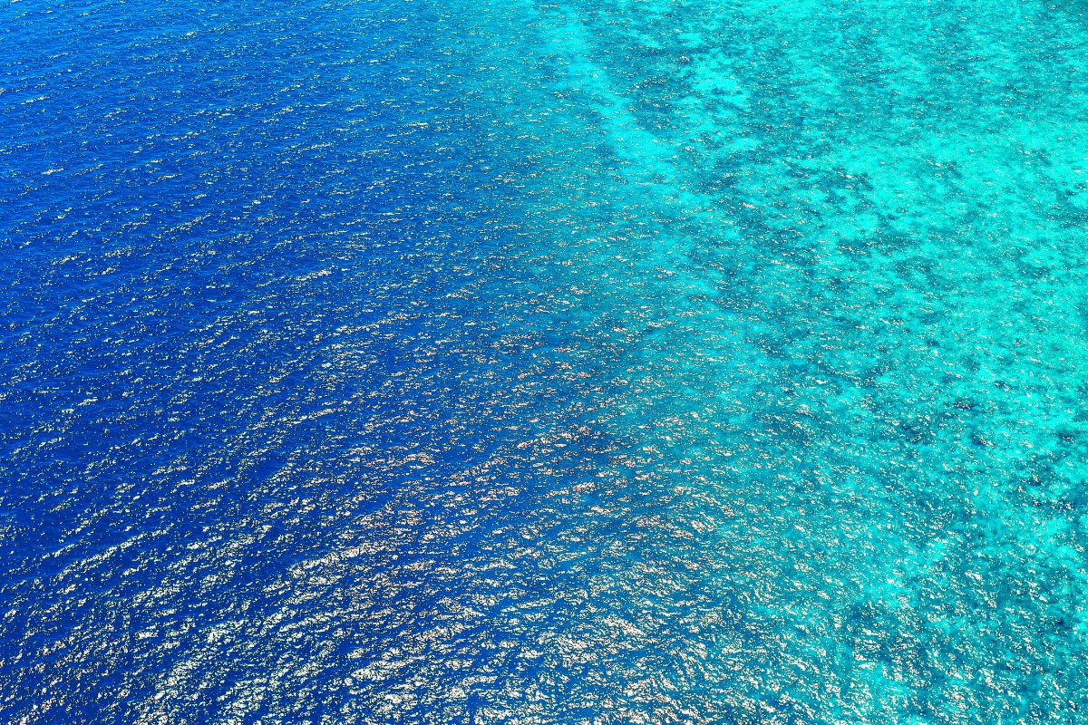 Amazonas y Caribe Colombiano