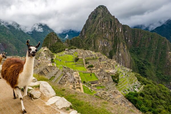 Llama Machu Pichu Llama Machu Pichu