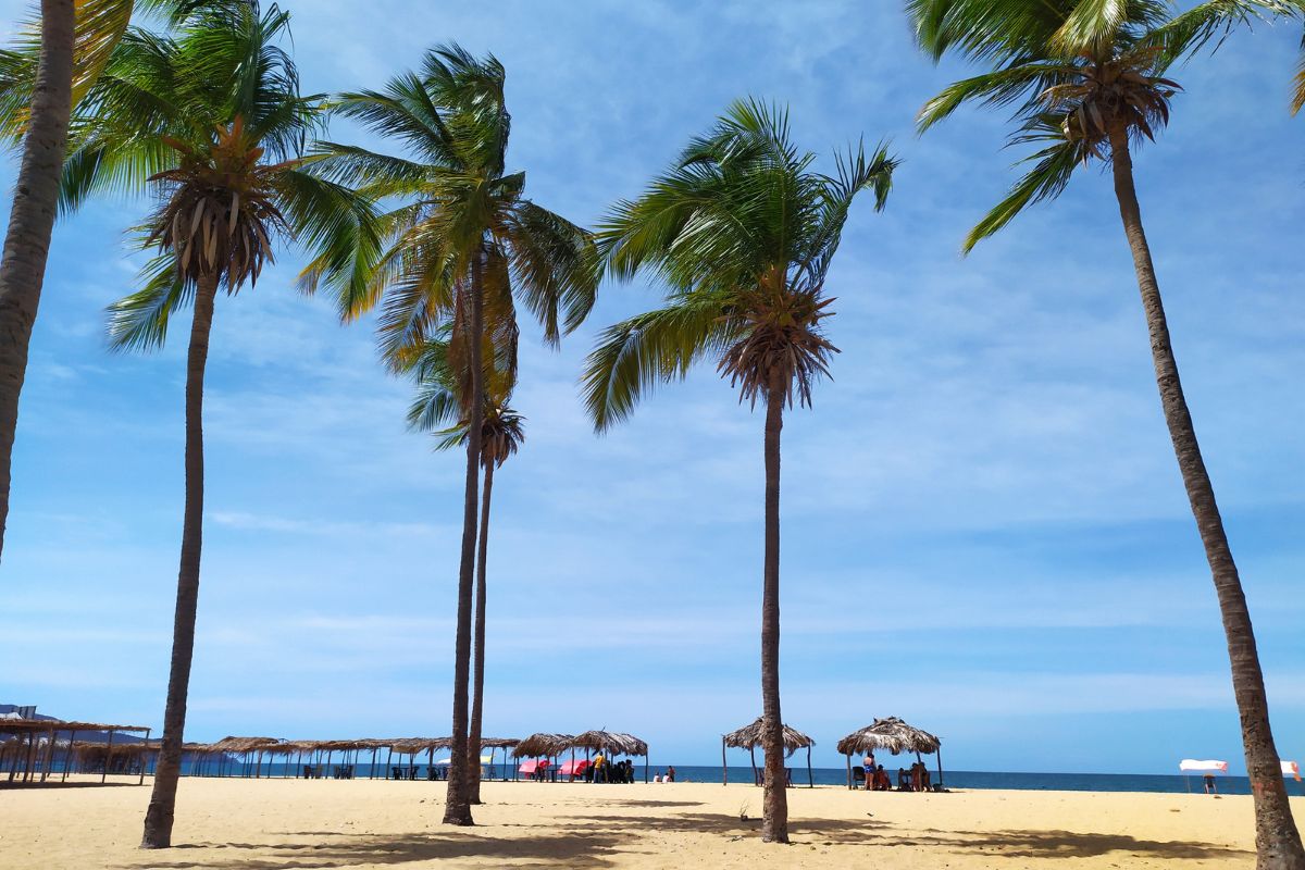 Colombia: Del Café al Caribe