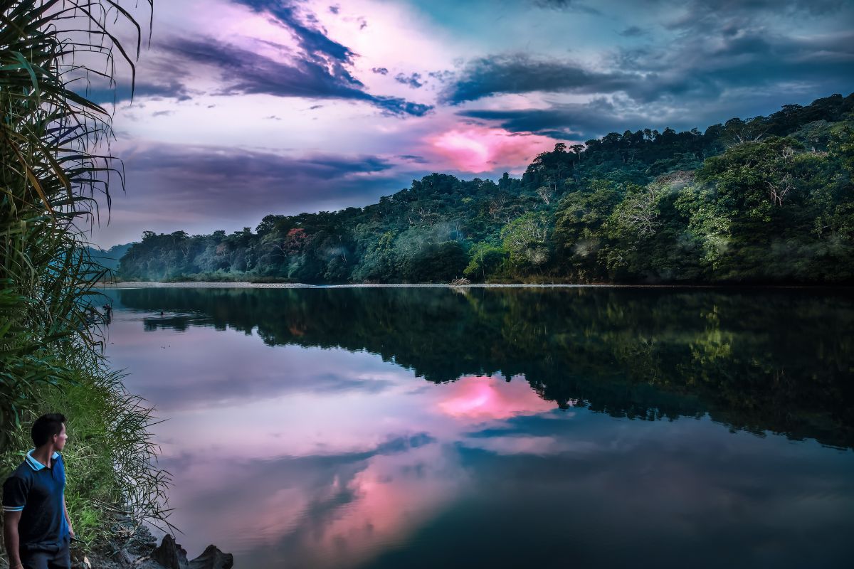 Amazonas y Caribe Colombiano