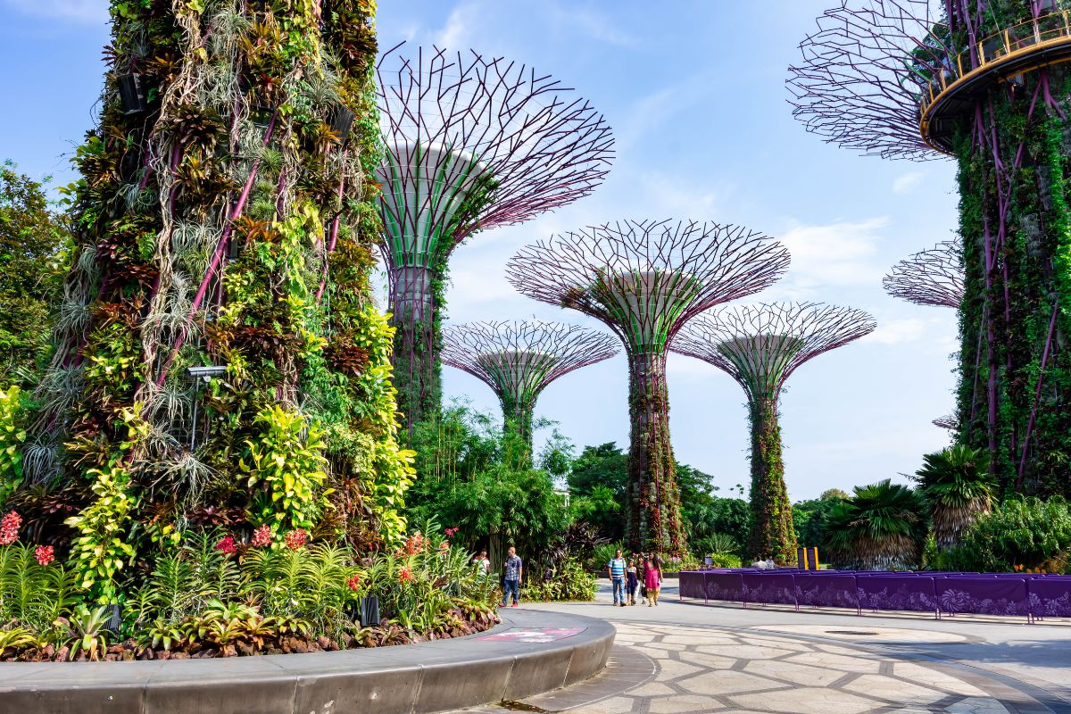 Singapur y Malasia