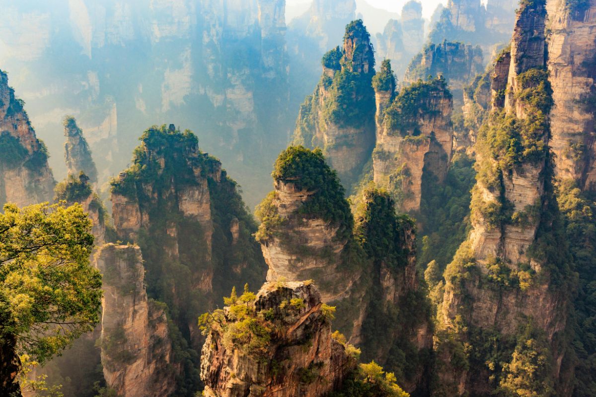 Pandas y Montañas de Avatar